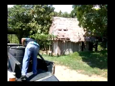 Intervienen grifo clandestino en el Pongo de Caynarachi Intervienen grifo clandestino en el Pongo de Caynarachi