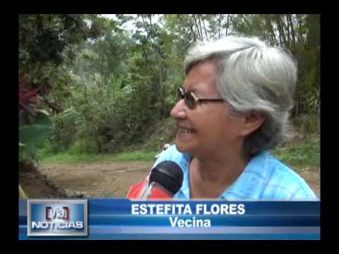 Mono travieso vuelve a causar alboroto en Tarapoto Mono travieso vuelve a causar alboroto en Tarapoto