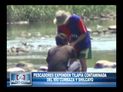 Pescadores expenden tilapia contaminada del rio cumbaza y Shilcayo