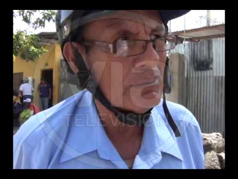 Inspeccionan vivienda donde crían gallos de pelea Inspeccionan vivienda donde crían gallos de pelea