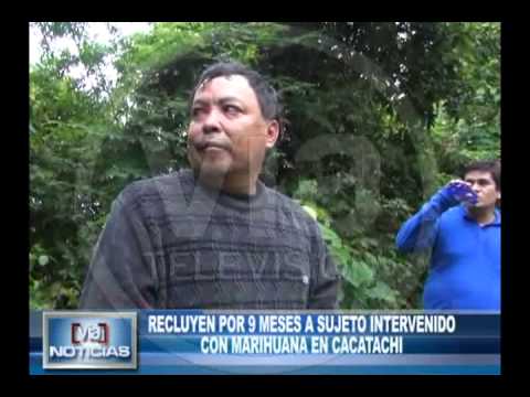 Recluyen por 9 meses a sujeto intervenido con marihuana en Cacatachi Recluyen por 9 meses a sujeto intervenido con marihuana en Cacatachi