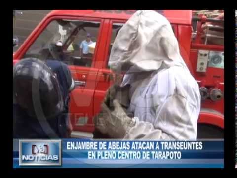 Enjambre de abejas atacan a transeúntes en centro de Tarapoto Enjambre de abejas atacan a transeúntes en centro de Tarapoto