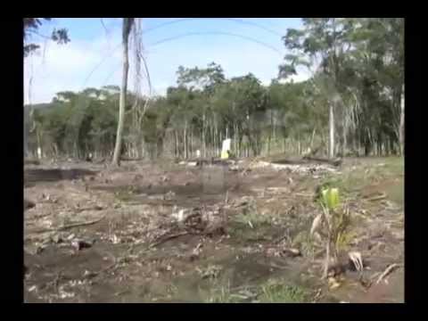 Inmobiliarias de Morales estarían vendiendo terrenos sin proyecto de planeamiento integral Inmobiliarias de Morales estarían vendiendo terrenos sin proyecto de planeamiento integral