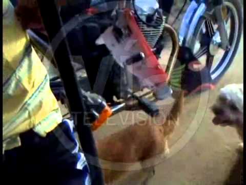 Menor que manejaba motocar salva de morir arrollado por auto Menor que manejaba motocar salva de morir arrollado por auto