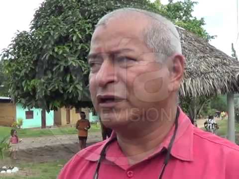 Reforestaran mil hectáreas de la quebrada Ahuashiyacu y Pucayacu