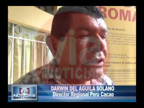 Región San Martín logra avances en cultivo de cacao Región San Martín logra avances en cultivo de cacao