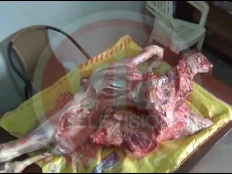 Decomisan más de 50 kilos de carne en mal estado