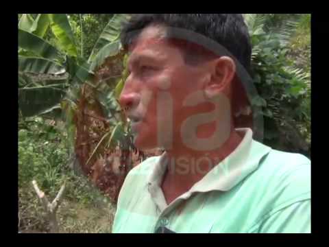 Denuncian a su vecino por no respetar límites de terreno Denuncian a su vecino por no respetar límites de terreno