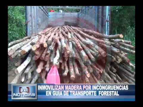 Inmovilizan madera por incongruencias en guía de transportes forestal Inmovilizan madera por incongruencias en guía de transportes forestal