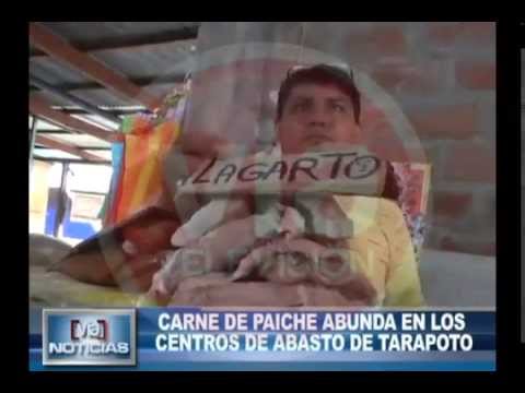 Carne de paiche abunda en los centros de abasto de Tarapoto Carne de paiche abunda en los centros de abasto de Tarapoto