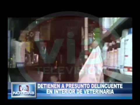 Detienen a presunto delincuente en interior de veterinaria Detienen a presunto delincuente en interior de veterinaria