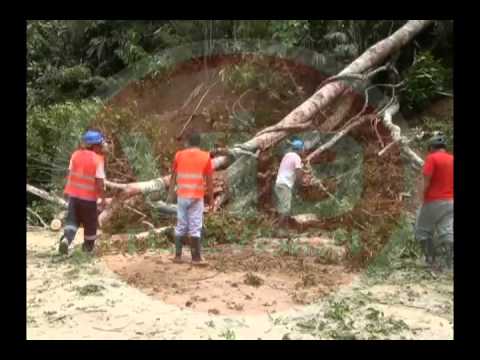 Evalúan declarar en emergencia la vía Shapaja – Chazuta Evalúan declarar en emergencia la vía Shapaja – Chazuta