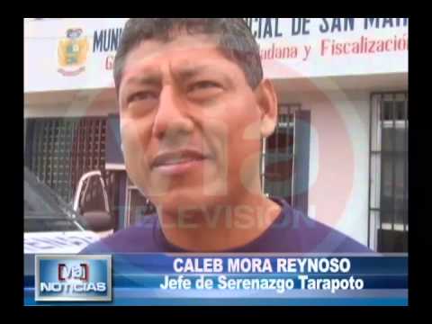 Serenos encuentran gavilán herido en pleno centro de la ciudad