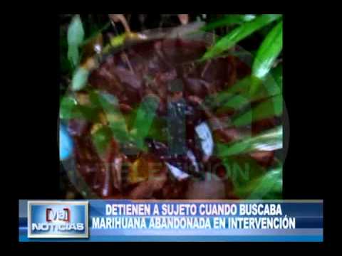Detienen a sujeto cuando buscaba marihuana abandonada en intervención Detienen a sujeto cuando buscaba marihuana abandonada en intervención