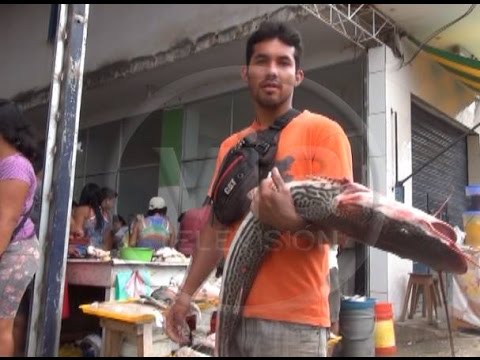 Venta de doncellas se incrementa en los centros de abasto