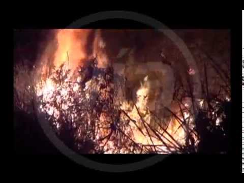 Incendio de regular proporción alarma a vecinos de La Banda de Shilcayo Incendio de regular proporción alarma a vecinos de La Banda de Shilcayo