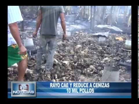 Rayo cae en granja avícola y reduce a cenizas 10 mil pollos Rayo cae en granja avícola y reduce a cenizas 10 mil pollos
