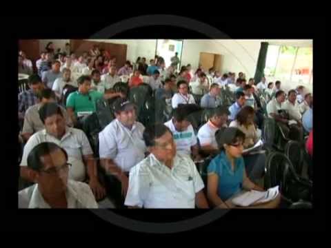 Realizan taller de fortalecimiento de la cadena productiva de café y cacao Realizan taller de fortalecimiento de la cadena productiva de café y cacao