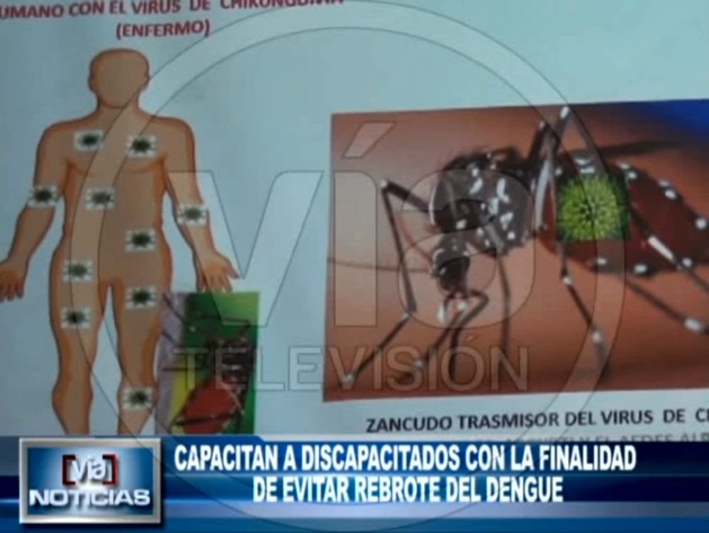 Capacitan a discapacitados con la finalidad  de evitar rebrote del dengue