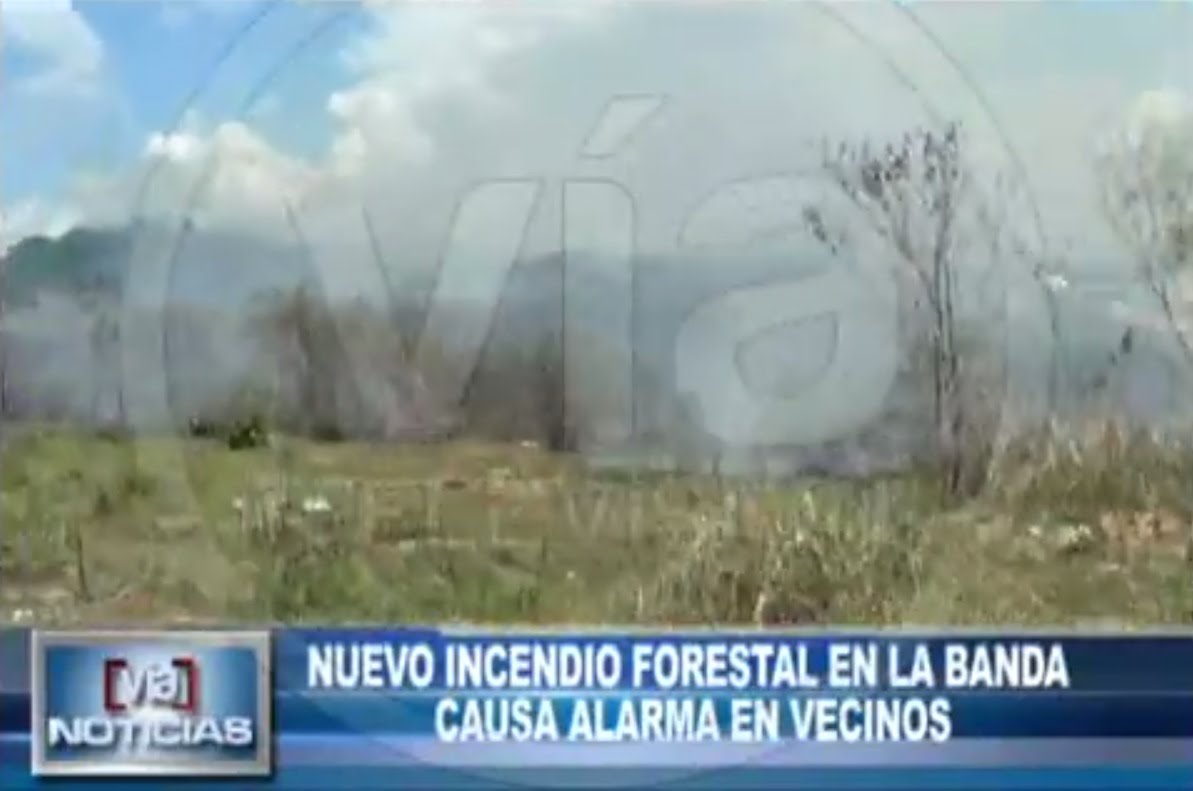 Nuevo incendio forestal en La Banda causa alarma en vecinos Nuevo incendio forestal en La Banda causa alarma en vecinos