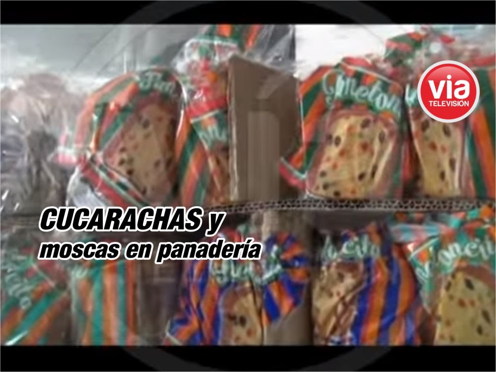 Clausuran panadería por presencia de cucarachas y moscas Clausuran panadería por presencia de cucarachas y moscas