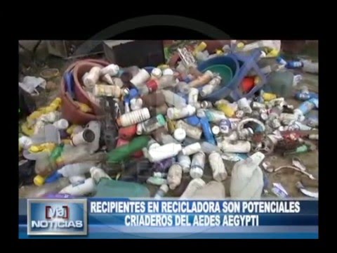 Recipientes en recicladora son potenciales criaderos del Aedes aegypti Recipientes en recicladora son potenciales criaderos del Aedes aegypti