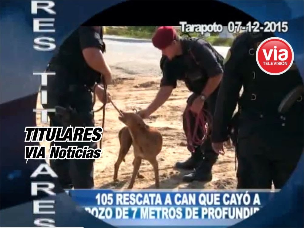Titulares 07 Diciembre 2015 Titulares 07 Diciembre 2015