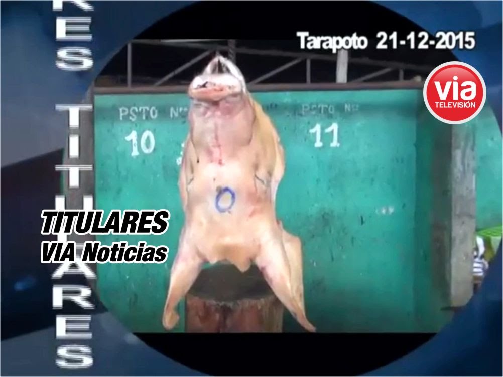 Titulares 21 Diciembre 2015 Titulares 21 Diciembre 2015