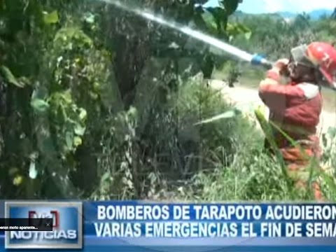 Bomberos de Tarapoto acudieron a varias emergencias el fin de semana Bomberos de Tarapoto acudieron a varias emergencias el fin de semana