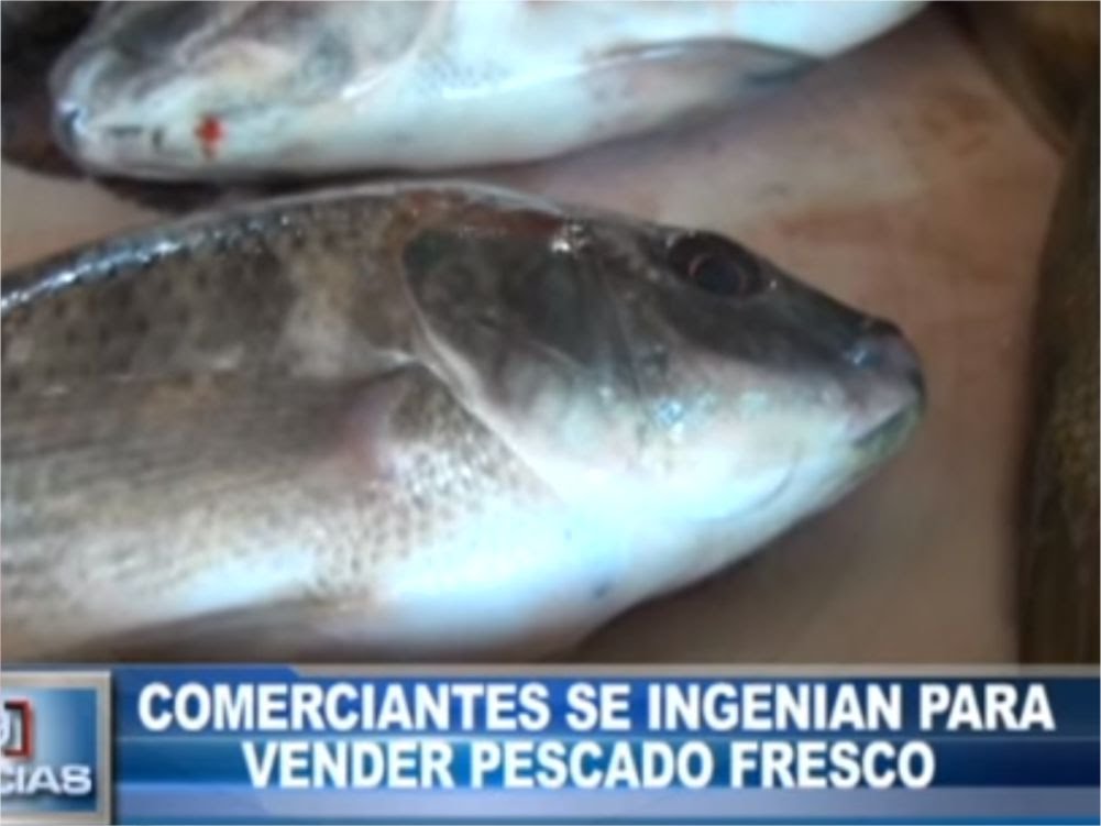 Comerciantes se ingenian para vender pescado fresco