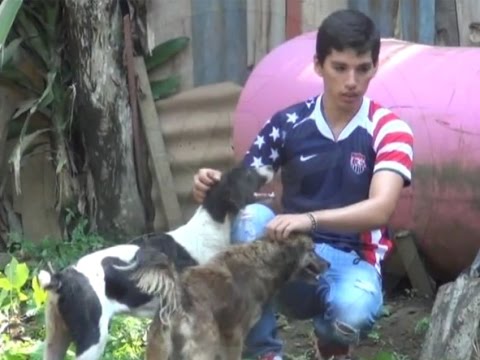 Inspeccionan terreno para la construcción de albergue canino Inspeccionan terreno para la construcción de albergue canino