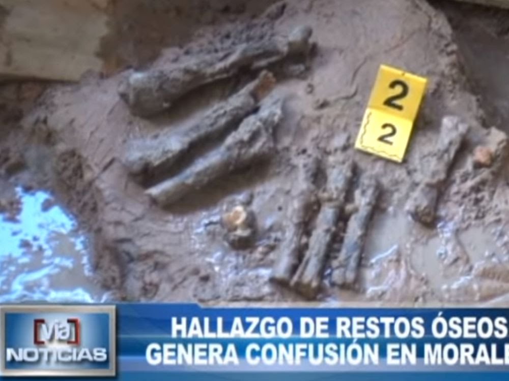 Morales: Hallazgo de restos óseos genera confusión Morales: Hallazgo de restos óseos genera confusión