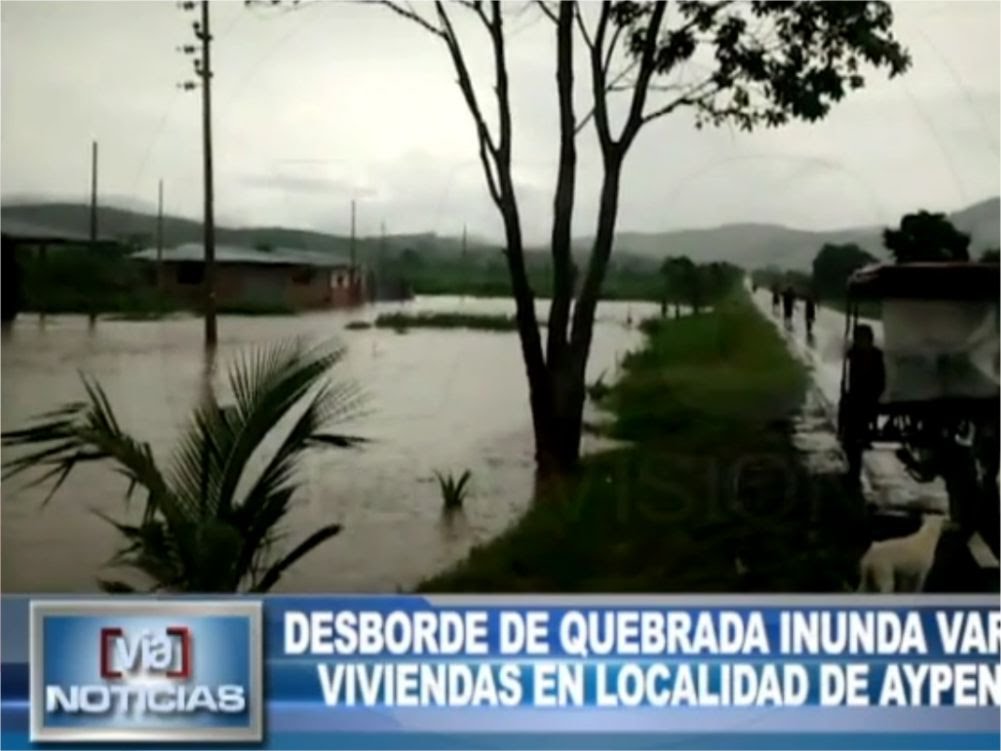 Picota: Desborde de quebrada inunda varias viviendas en localidad de Aypena Picota: Desborde de quebrada inunda varias viviendas en localidad de Aypena
