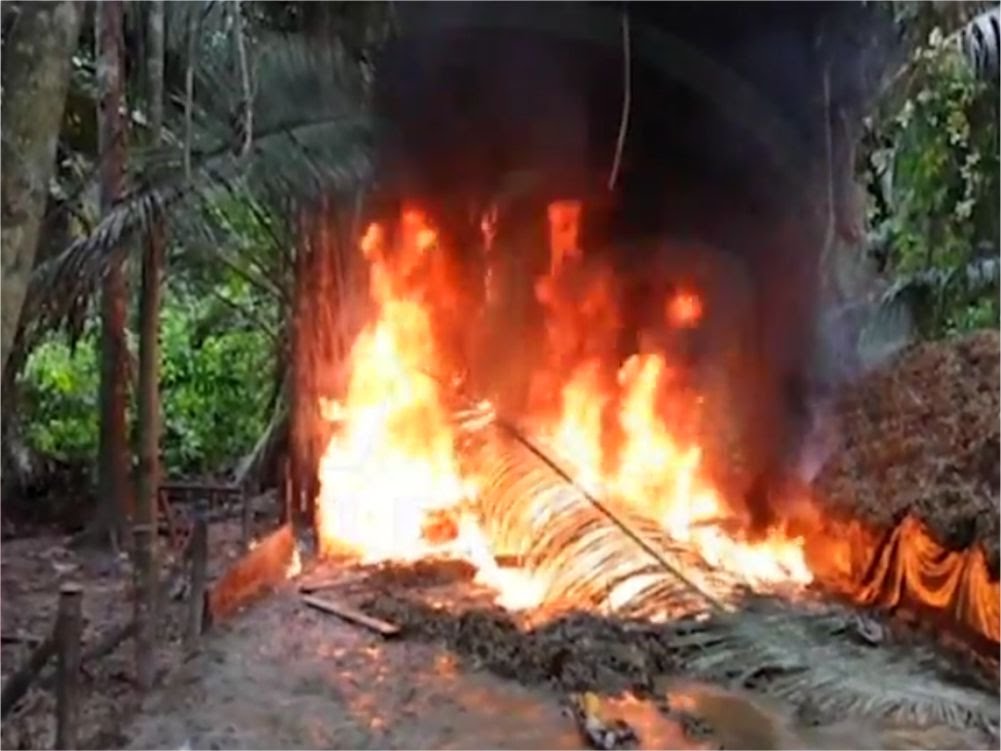 Tocache: Destruyen pozas de maceración con 2 Tns. y media de hoja de coca Tocache: Destruyen pozas de maceración con 2 Tns. y media de hoja de coca