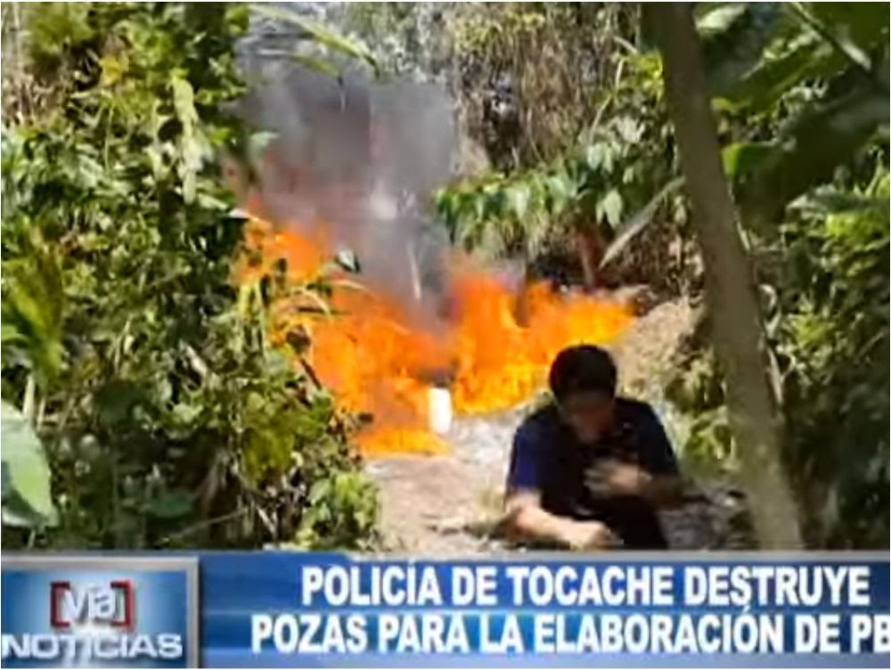 Tocache: Policía destruye pozas para la elaboración de PBC Tocache: Policía destruye pozas para la elaboración de PBC