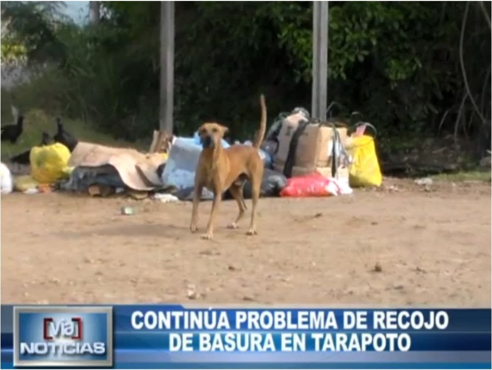 Continua problema de recojo de basura en Tarapoto