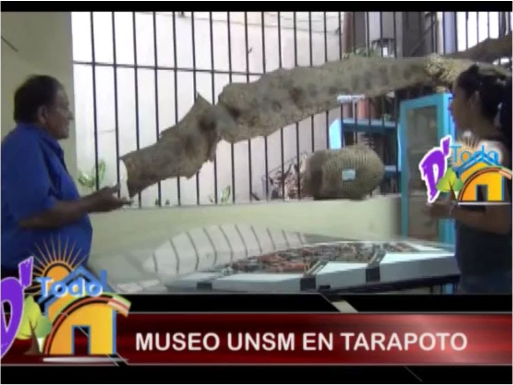 Museo de la UNSM en Tarapoto – Qué Rico Medio Día Museo de la UNSM en Tarapoto – Qué Rico Medio Día