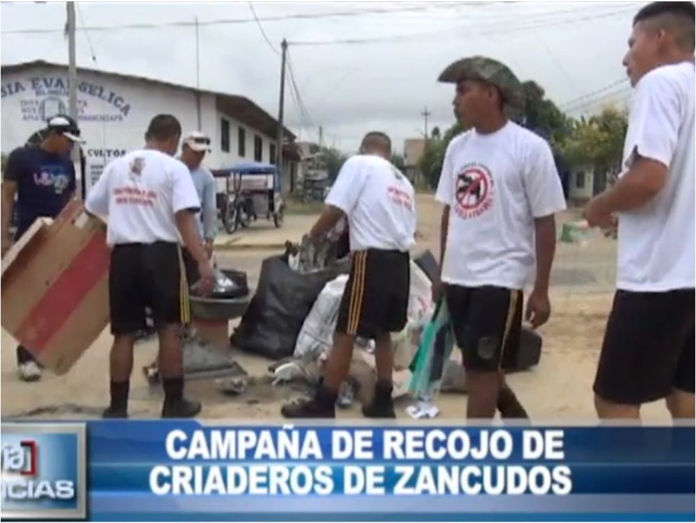 Tarapoto: Campaña de recojo de criaderos de zancudos Tarapoto: Campaña de recojo de criaderos de zancudos
