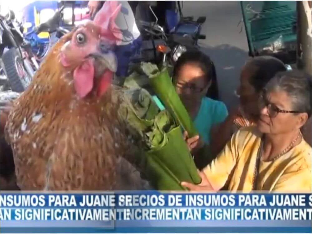Precios de insumos para juane se incrementan significativamente Precios de insumos para juane se incrementan significativamente