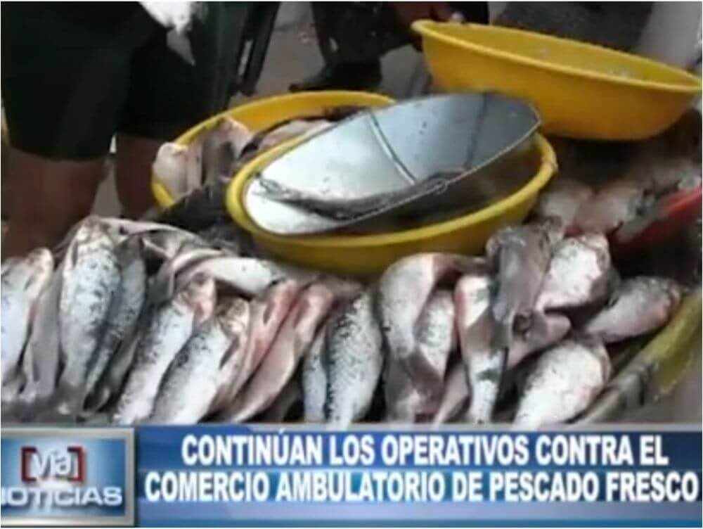 Tarapoto: operativos contra el comercio ambulatorio de pescado fresco Tarapoto: operativos contra el comercio ambulatorio de pescado fresco