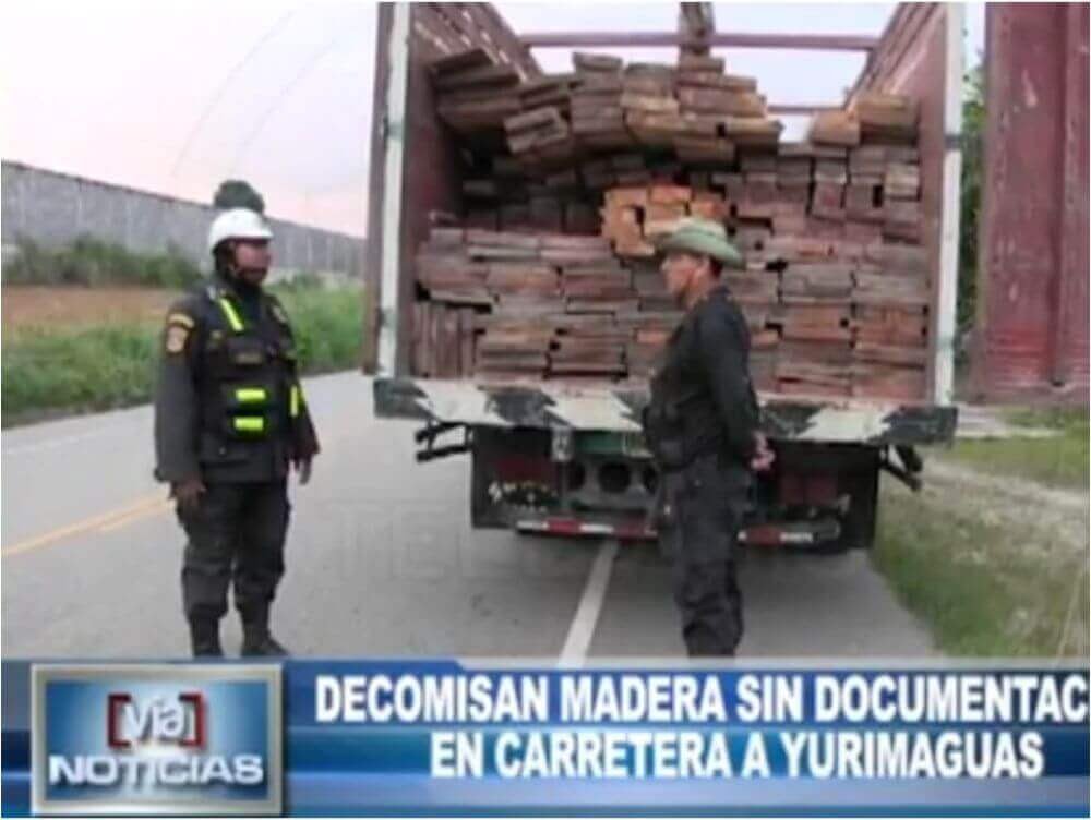 Decomisan madera sin documentación en carretera a Yurimaguas Decomisan madera sin documentación en carretera a Yurimaguas