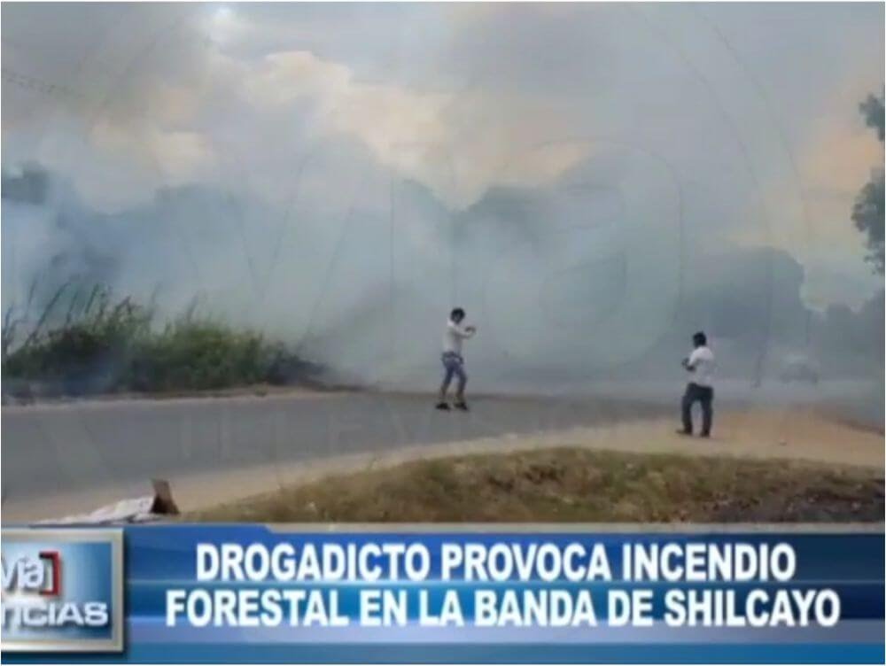 Drogadicto provoca incendio forestal en La Banda de Shilcayo