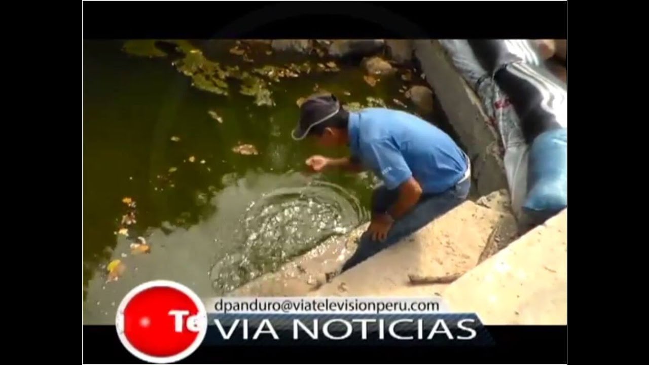 Denuncian atentado ambiental y presunta explotación infantil en Paujilzapa Denuncian atentado ambiental y presunta explotación infantil en Paujilzapa