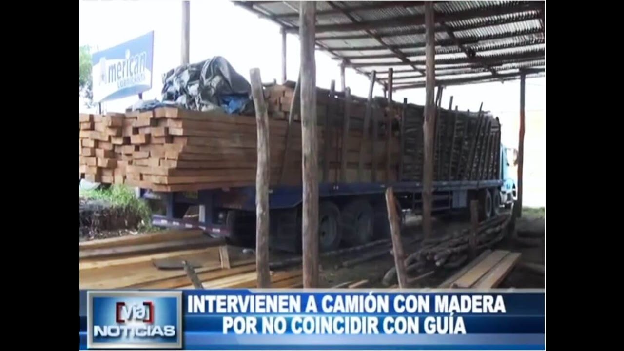 Intervienen a camión con madera por no coincidir con guía Intervienen a camión con madera por no coincidir con guía