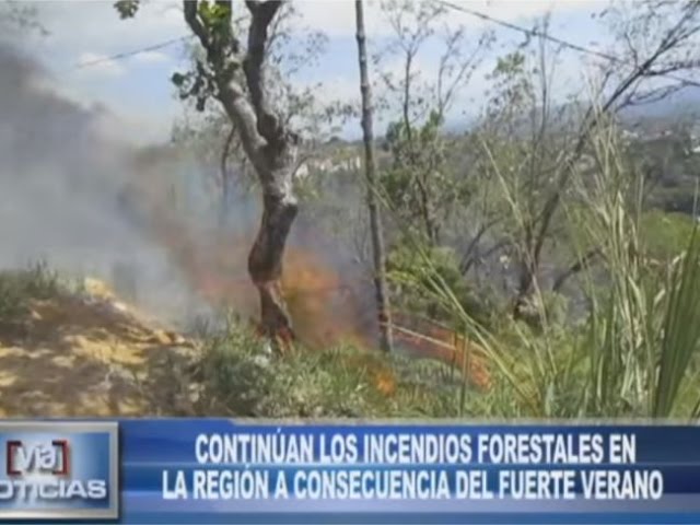 Continúan los incendios forestales en la región a consecuencia del fuerte verano Continúan los incendios forestales en la región a consecuencia del fuerte verano
