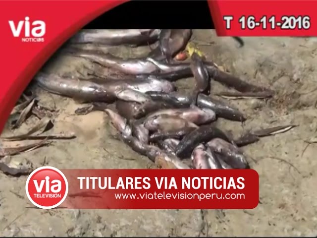 Titulares 16 de Noviembre del 2016 – Tarapoto Titulares 16 de Noviembre del 2016 – Tarapoto
