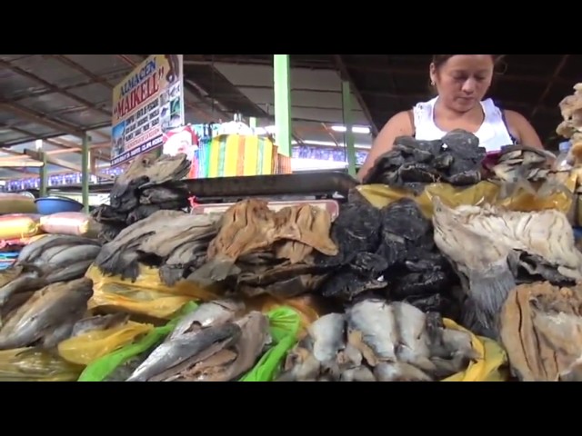 Inspeccionan condiciones de venta de pescado en Tarapoto