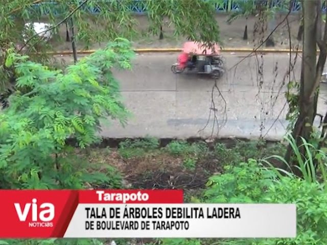 Tala de árboles debilita ladera de boulevard de Tarapoto