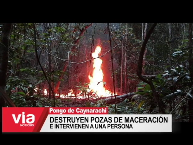 Destruyen pozas de maceración e intervienen a una persona Destruyen pozas de maceración e intervienen a una persona