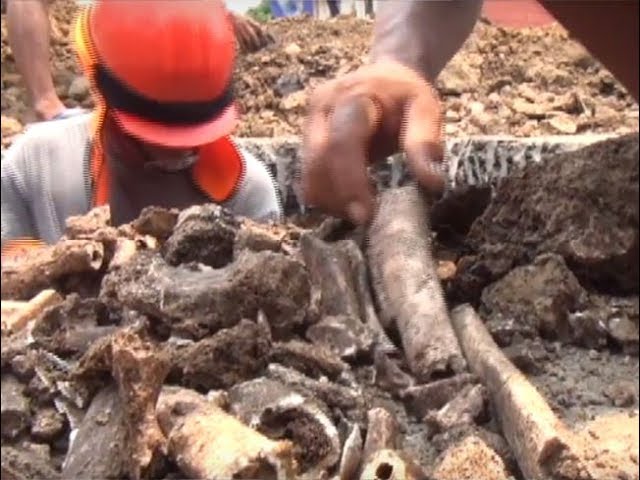 Dirección de cultura judicializó hallazgo de restos óseos en Maceda Dirección de cultura judicializó hallazgo de restos óseos en Maceda